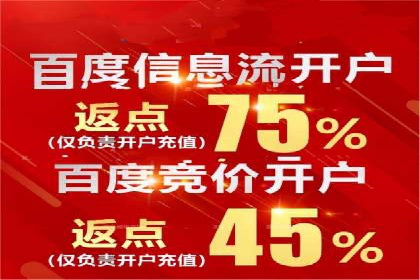 竞价推广代运营：成功案例解析